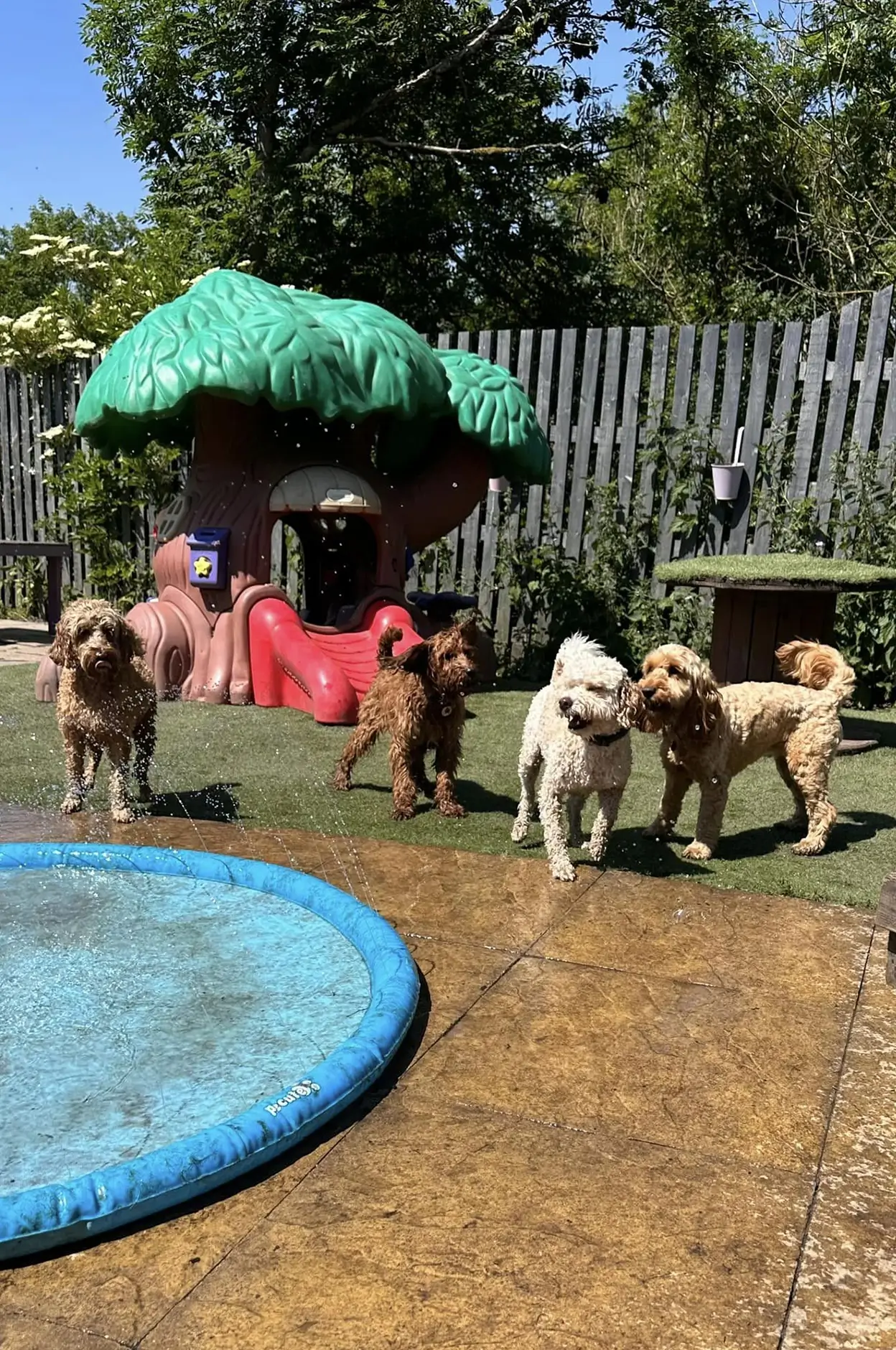 plot for sale in talegaon dabhade